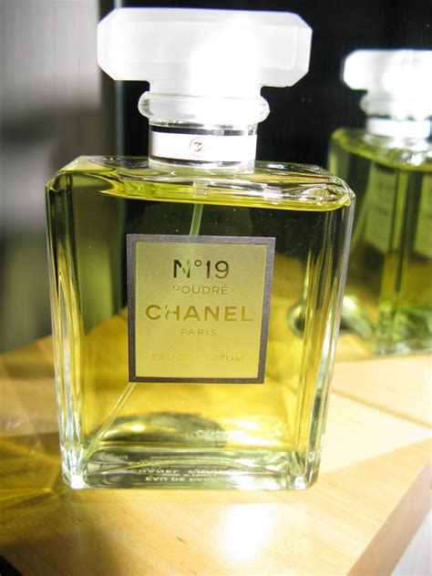 chanel no 19 fragrantica.